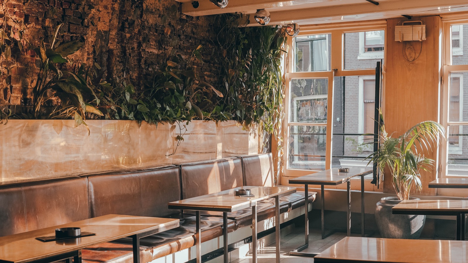 coffee shop