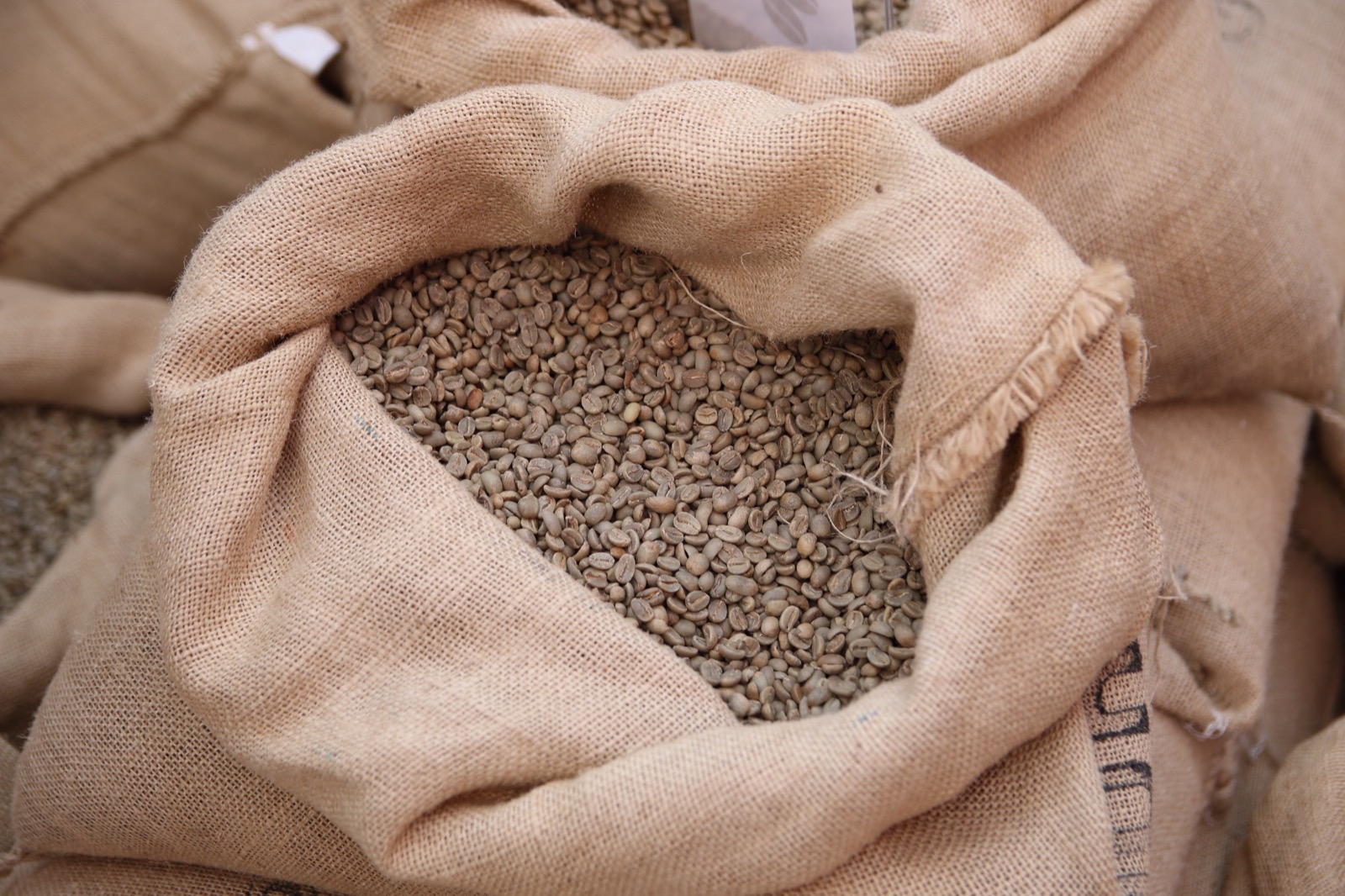 green coffee beans